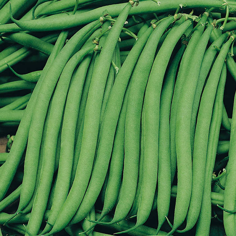 French Beans (250g)